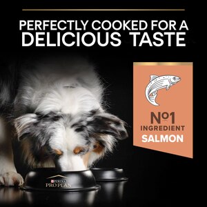 PRO PLAN Medium Adult Dry Dog Food Sensitive Skin Rich in Salmon 14kg. Free Delivery at PetShop